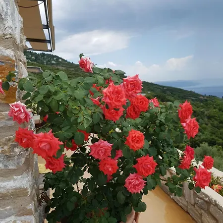 Βίλα Pelion Alkistis Myth And Magic *