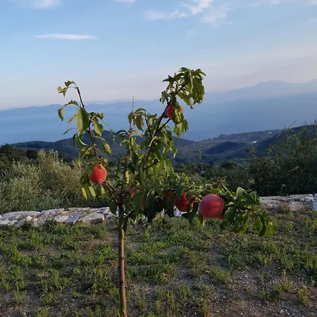 Βίλα Pelion Alkistis Myth And Magic Άγιος Γεώργιος Νηλείας